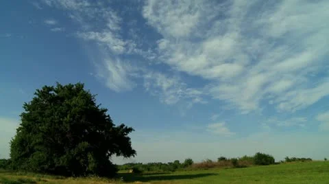 Hedgerow Cool Day Pan Stock Footage 11761652