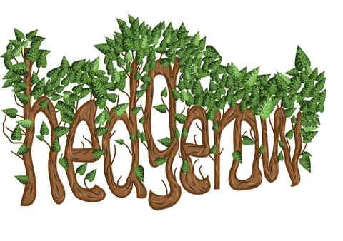 Hedgerow Stock Illustration