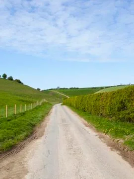 Hedgerows and hills Stock Photos
