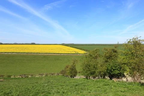 Hedgerows and scenic patchwork fields in springtime Stock Photos