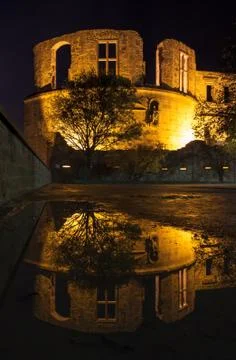 Heidelberg Castle reflection in puddle Stock Photos