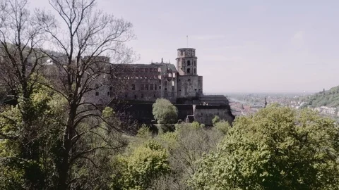 Heidelberg Castle, Ruin - spring Stock Footage 90293010