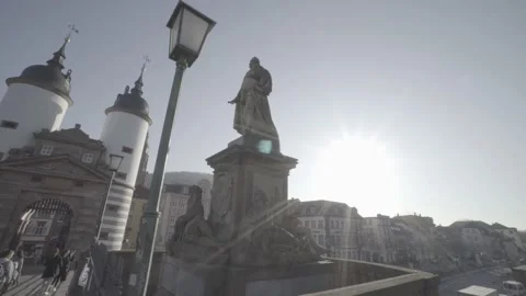 Heidelberg Old Bridge Statue 스톡 동영상 172059149