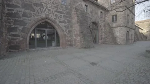 Heidelberg University 스톡 동영상 172060637