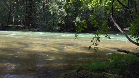 Heigh water on the river￼￼.  Cold mountain flows quickly through the forest. Stock Footage 118730802
