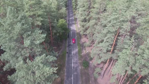 From a height above the trees, red car drives along an old road in a pine forest Stock Footage 160207189