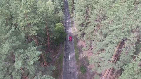 From a height above the trees, red car drives along an old road in a pine forest Stock Footage 237398734