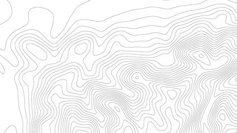 Height abstract. Topo map elevation lines. Contour vector abstract vector イラスト素材