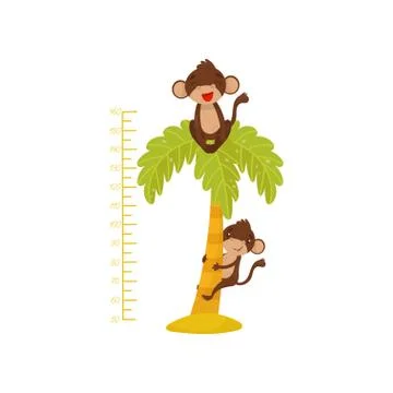 Height chart for children and funny monkeys on palm tree. Tropical animals Illustrazione stock