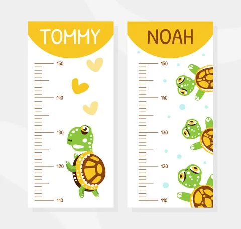 Height Chart with Happy Green Turtle with Shell Vector Illustration 스톡 일러스트