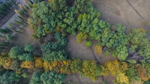 From the height of the park 스톡 동영상 68611874