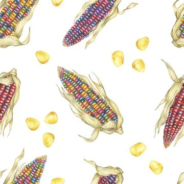 Heirloom Indian corn seamless pattern, rainbow cobs textile, multicolored maize Stock Illustration
