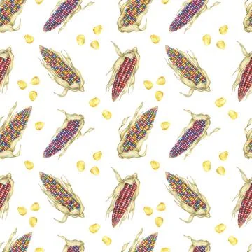 Heirloom Indian corn seamless pattern, rainbow cobs textile, multicolored maize Stock Illustration