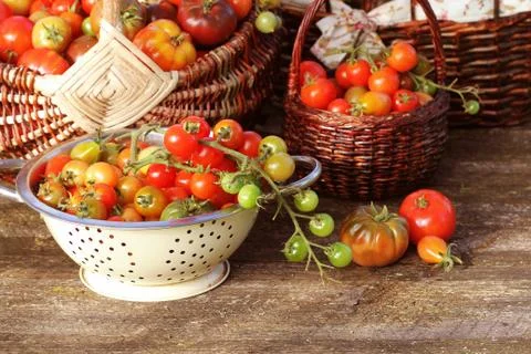 Heirloom variety tomatoes in baskets on rustic table. Colorful tomato - red,y Stock Photos