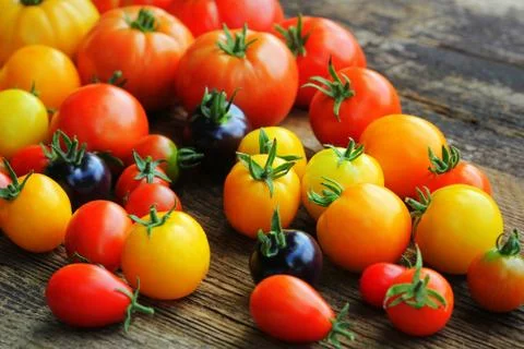Heirloom variety tomatoes on rustic table. Colorful tomato - red,yellow , bla Stock Photos