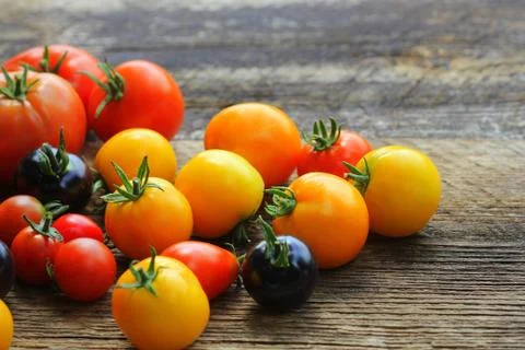 Heirloom variety tomatoes on rustic table. Colorful tomato - red,yellow , bla Stock Photos