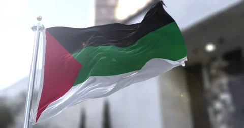 Hejaz-flag-waving-seamless-loop-4k-60fps Stock Footage 332163426