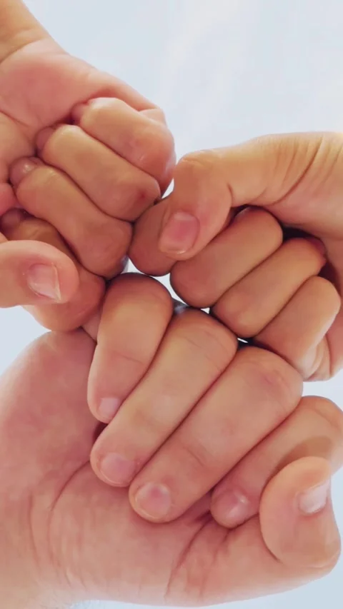 Held hands circle, forming bond. woman man hands joined together, symbolizing Stock Footage 301293333
