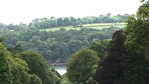 Helford River from tree tops in a sub-tropical lush garden in Cornwall, UK Stock Footage 102472025