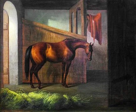 Helga.. Stock Illustration