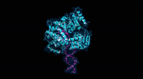 Helicase bound to DNA Stock Footage 52848630