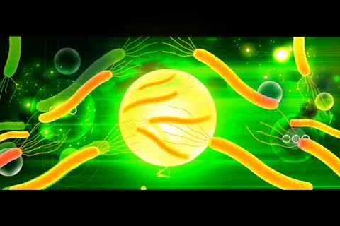 Helicobacter bacteria Stock Illustration