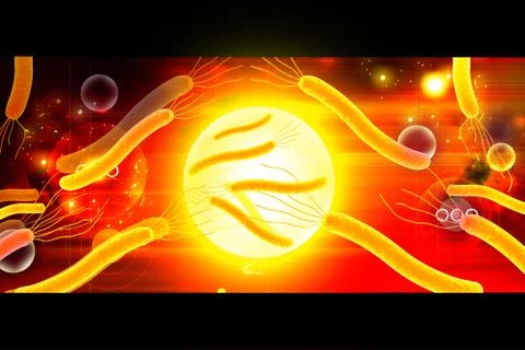 Helicobacter bacteria Stock Illustration
