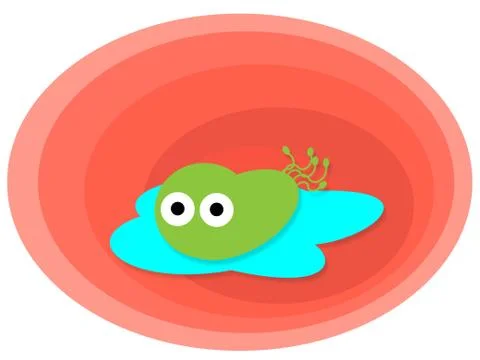 Helicobacter Pylori Stock Illustration