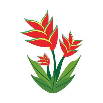 Heliconia flower spring image Stock-Illustration