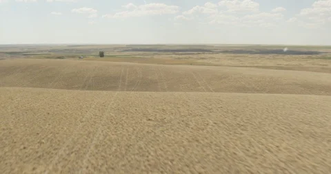 Helicopter aerial shot tracking down dead brown fields Stock Footage 115334315