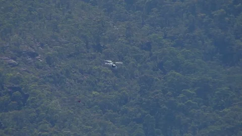 Helicopter and trees Stock Footage 82927881