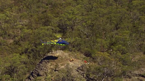 Helicopter and trees Stock Footage 82932845