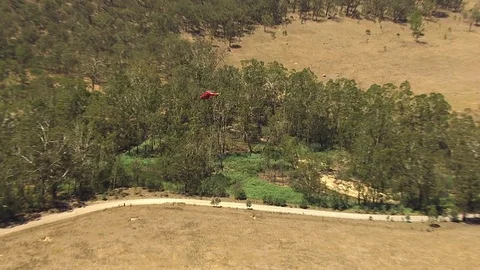 Helicopter and trees Stock Footage 82936205
