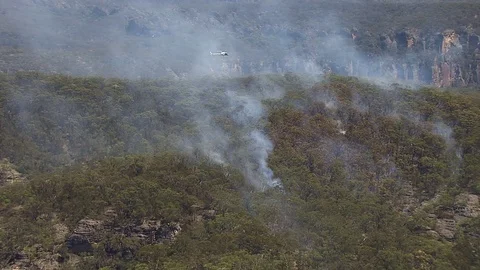 Helicopter and trees Stock Footage 82936871