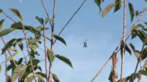 Helicopter Approaching Stock Footage 56237473