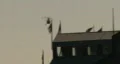 Helicopter Backlight HD Footage