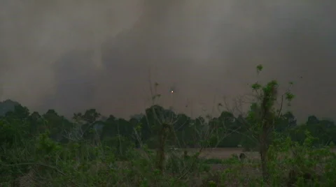 Helicopter Brushfire Stock Footage 490625