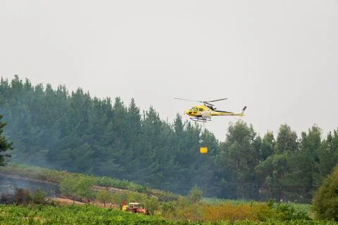Helicopter combating wildfire over vineyard in spain Stock Photos
