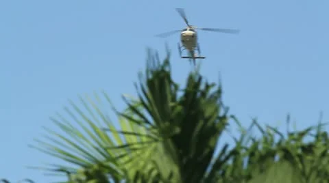 Helicopter comes up behind tree Stock Footage 11561530