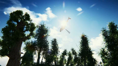 Helicopter crash in the forest Stock Footage 38045931