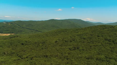 Helicopter ( drone, quadcopter ) flies over the mountains overgrown with forest Stock Footage 92201833
