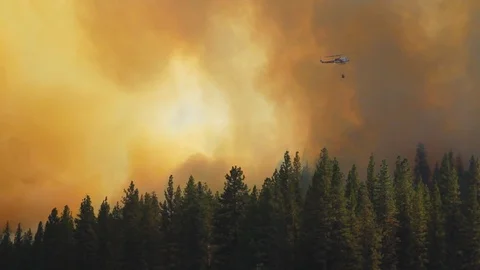 Helicopter dropping water on raging fire in California mountains. Stock Footage