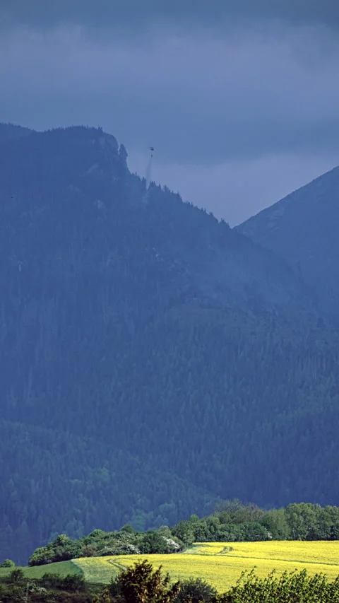 Helicopter dropping water onto small forest fire Stock Footage 308799088