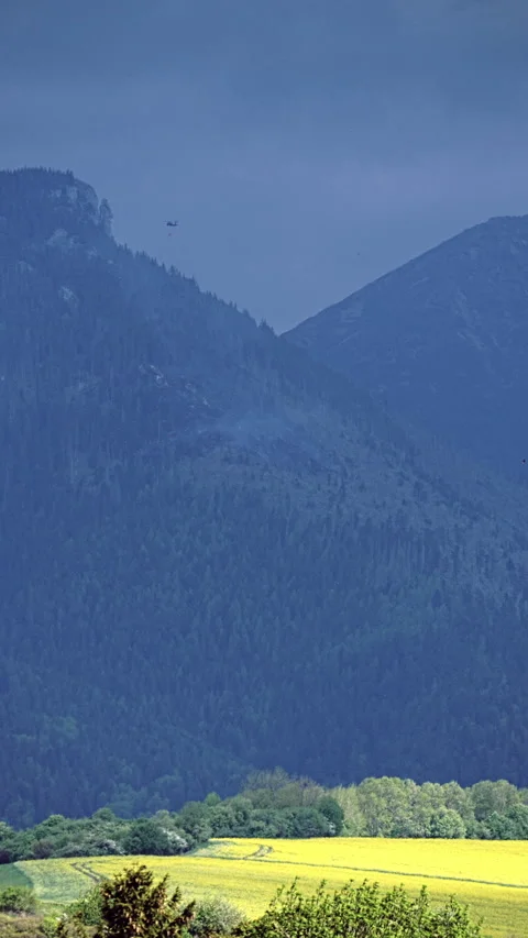 Helicopter dropping water onto small forest firemnich 3 4k Stock Footage 308799170