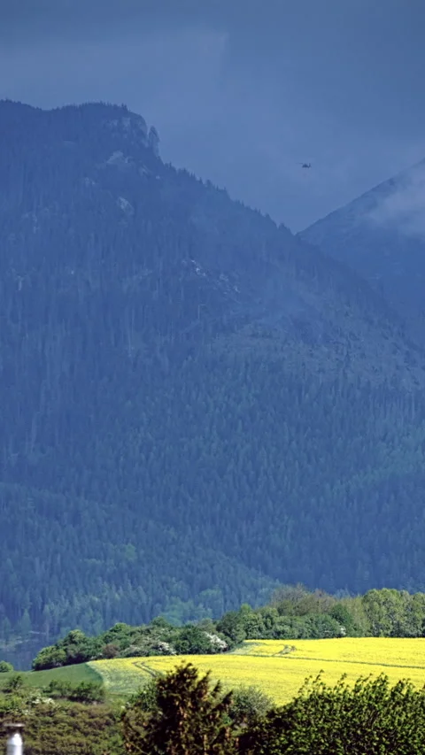 Helicopter dropping water onto small forest fire Stock Footage 308799581