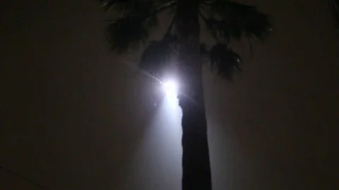 Helicopter Emergency 動画素材 77696047