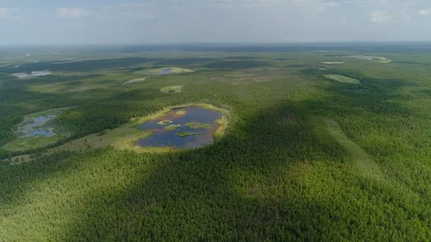 Helicopter epic peat bogs swamp mirror lakes forest taiga Siberia Russia nature  Stock-Footage 121239508