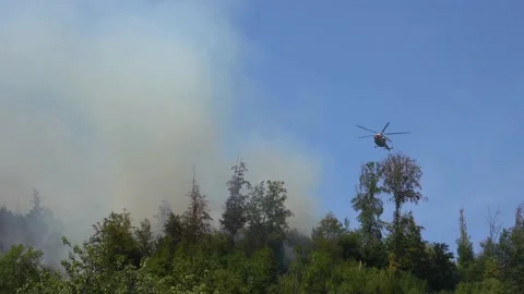 A helicopter extinguishes the fire Stock Footage 204123273