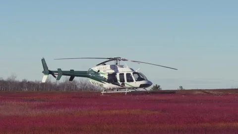 Helicopter in Field Stock Footage 329009310