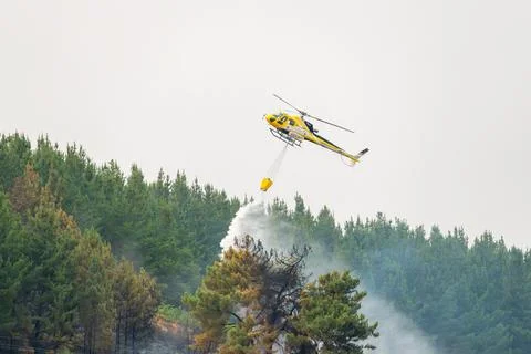 Helicopter fighting forest fire dropping water over trees Stock Photos